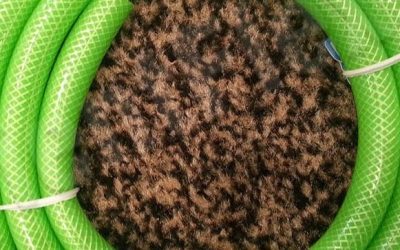 Pourquoi le tuyau d’arrosage échoue dans la validité