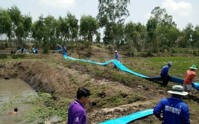 Comment choisir le tuyau plat d’irrigation pour les zones arides